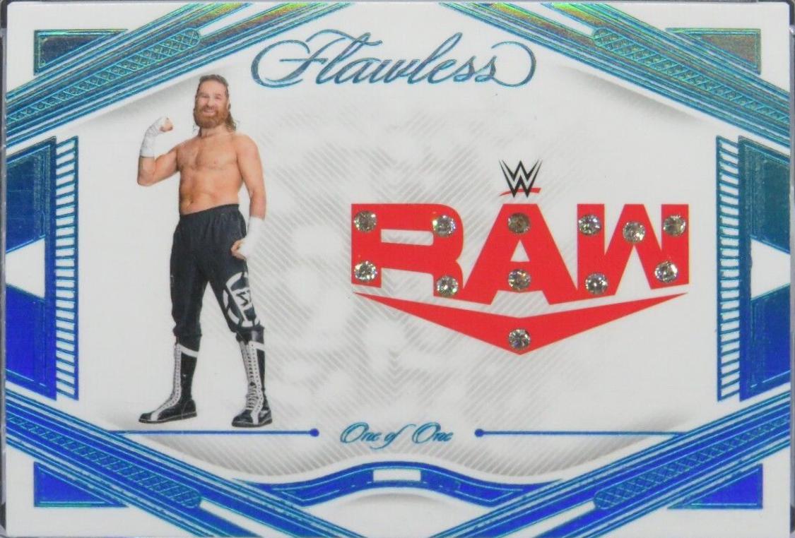 Sami Zayn [Platinum] #24