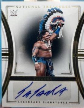 Tatanka #46