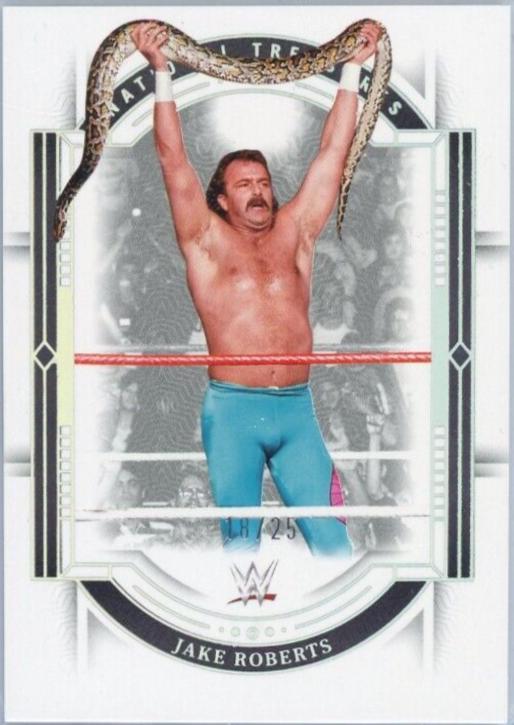 Jake Roberts [Holo Silver] #90