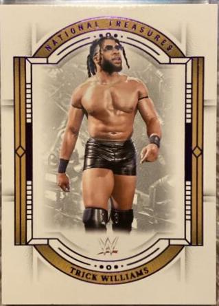 Trick Williams [Amethyst] #43