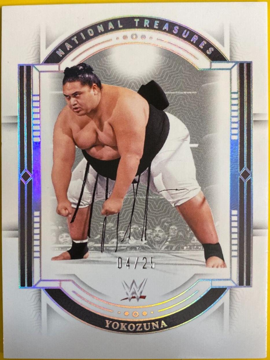 Yokozuna [Holo Silver] #73