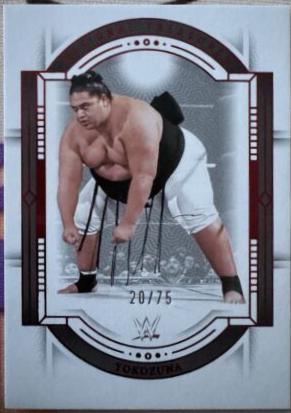 Yokozuna [Red] #73