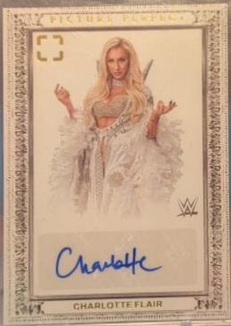 Charlotte Flair #30
