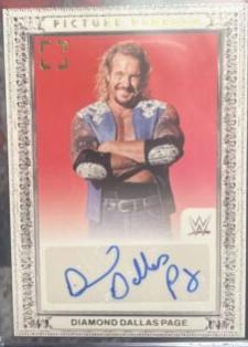 Diamond Dallas Page #1