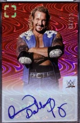 Diamond Dallas Page [Swirl FOTL] #1