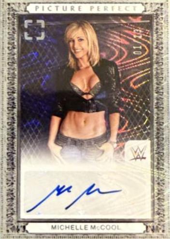 Michelle McCool [Swirl FOTL] #3