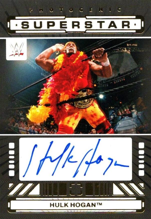 Hulk Hogan #4
