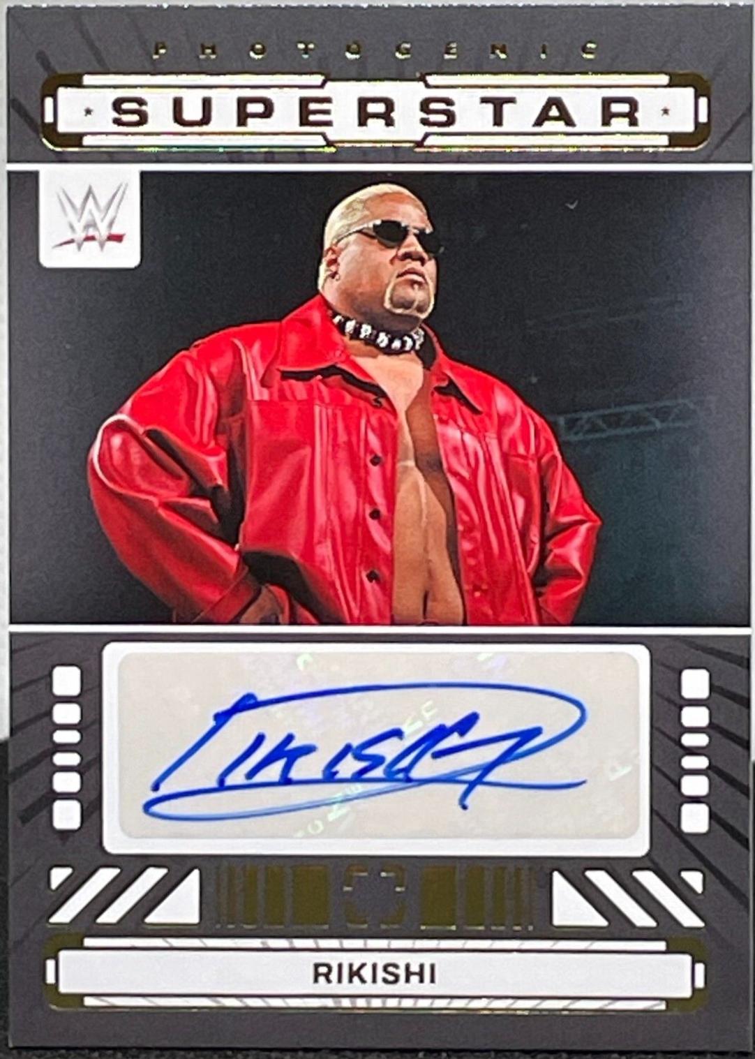 Rikishi #19