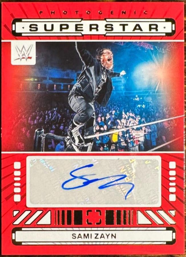 Sami Zayn #29