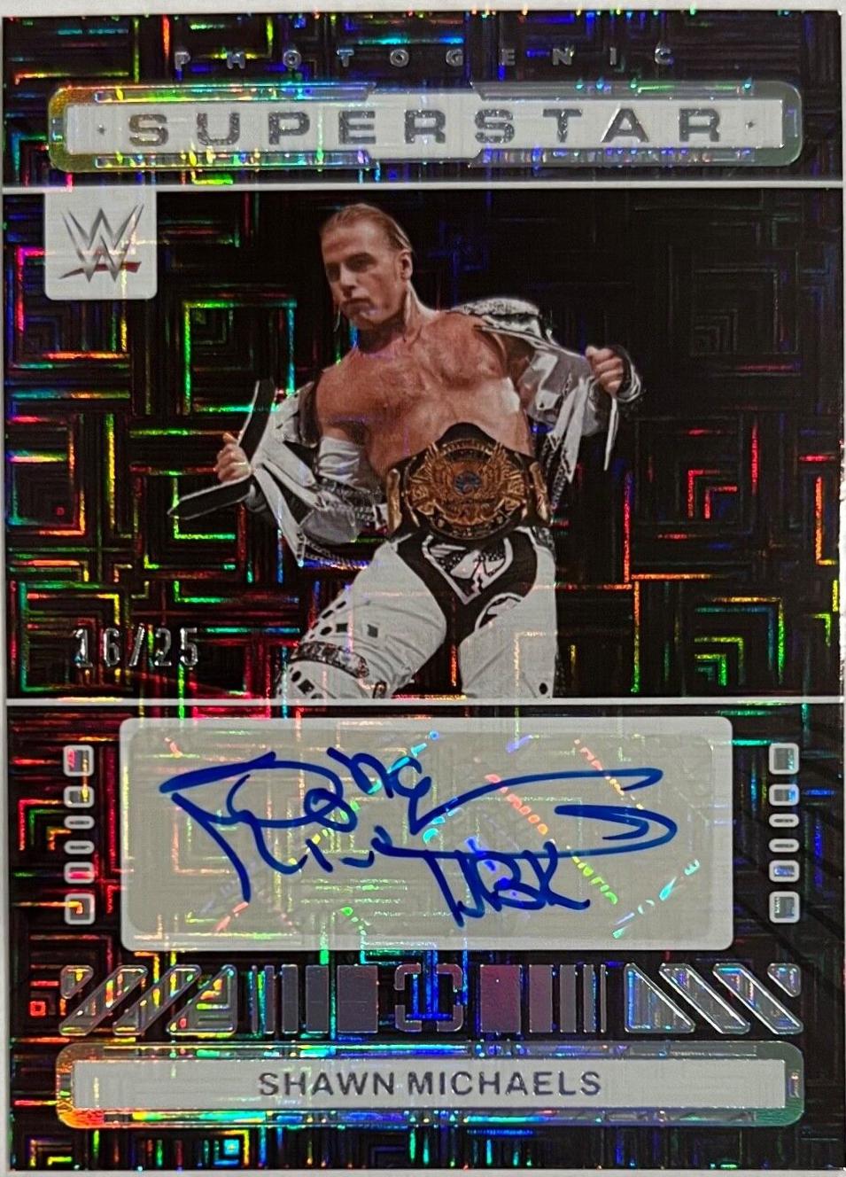 Shawn Michaels [Maze] #16