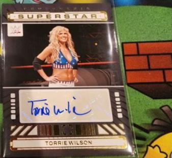 Torrie Wilson #48
