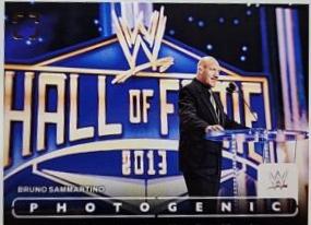 Bruno Sammartino #59