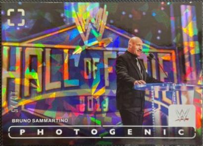 Bruno Sammartino [Diamond] #59