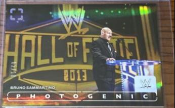 Bruno Sammartino [Gold] #59