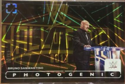 Bruno Sammartino [Wedges] #59