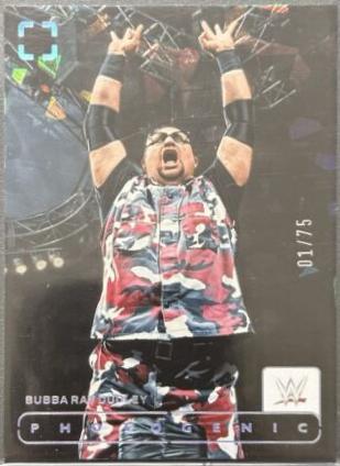 Bubba Ray Dudley [Diamond] #138