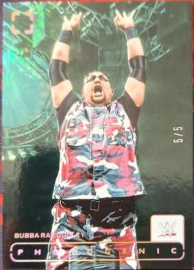 Bubba Ray Dudley [Fireworks] #138