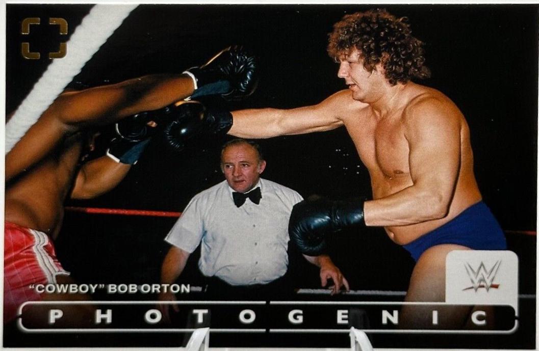 Cowboy Bob Orton #60