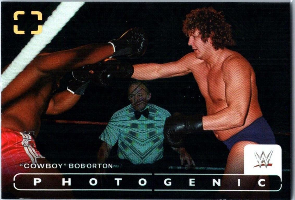 Cowboy Bob Orton [Fireworks] #60