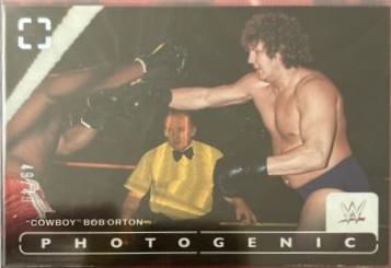 Cowboy Bob Orton [Wedges] #60