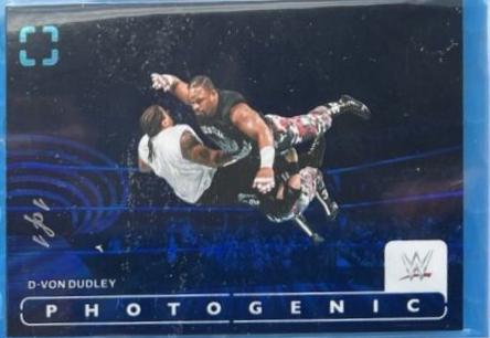 D-Von Dudley [Platinum] #38