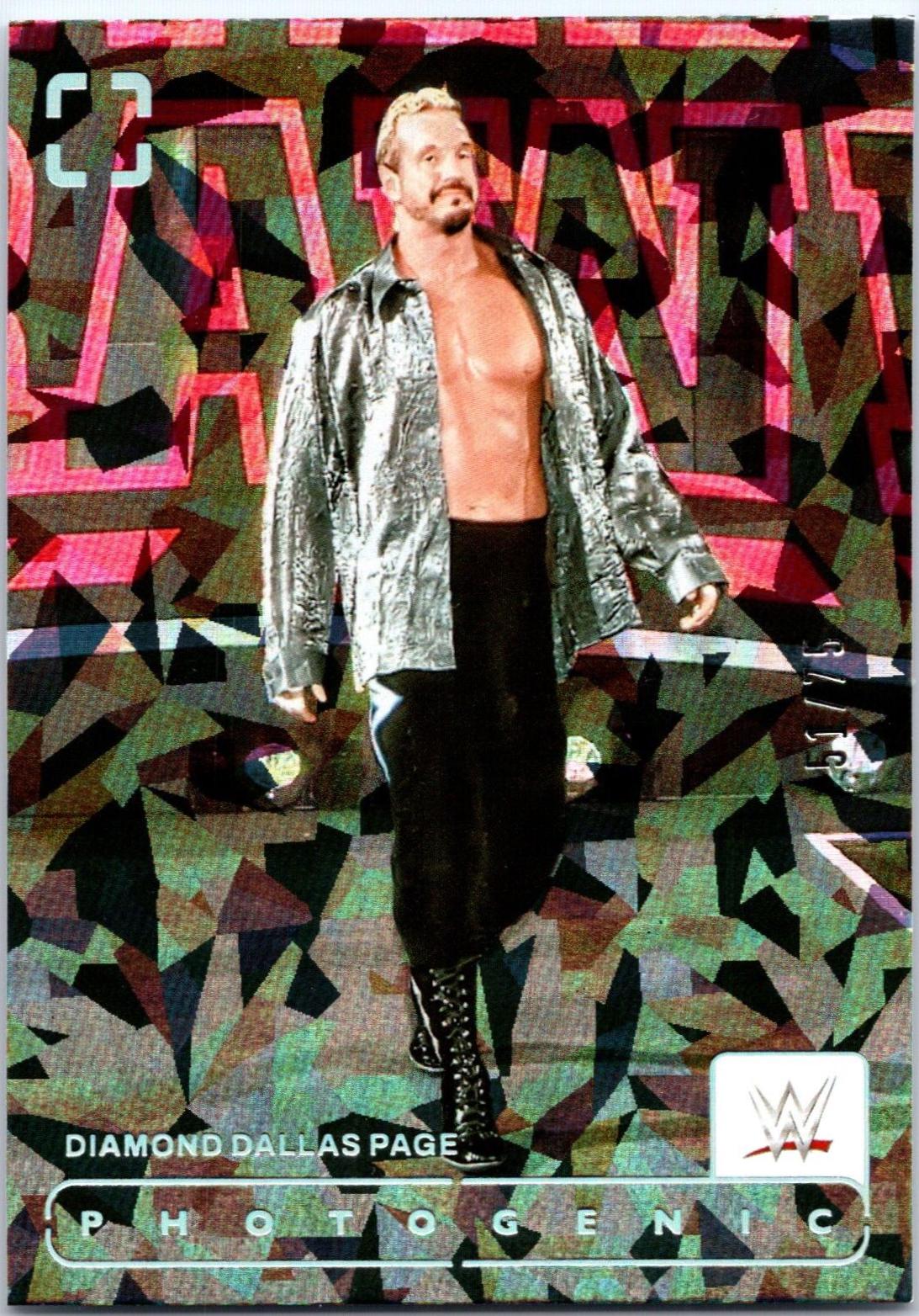 Diamond Dallas Page [Diamond] #139