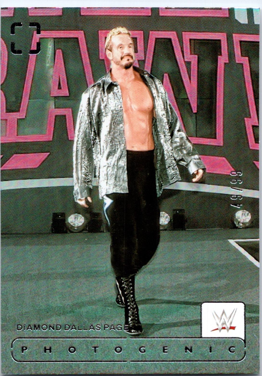 Diamond Dallas Page [Silver] #139