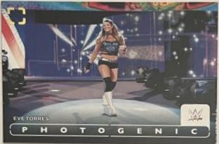 Eve Torres #80