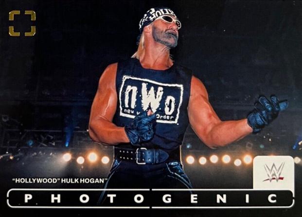 Hollywood Hulk Hogan #9