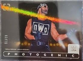 Hollywood Hulk Hogan [Gold] #9