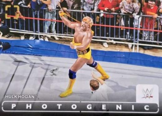 Hulk Hogan #72