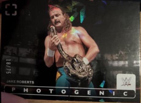 Jake Roberts [Diamond] #26