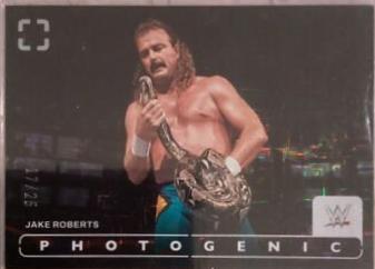 Jake Roberts [Maze] #26