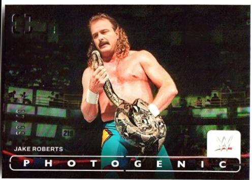 Jake Roberts [Silver] #26