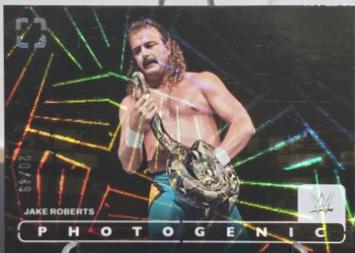 Jake Roberts [Wedges] #26