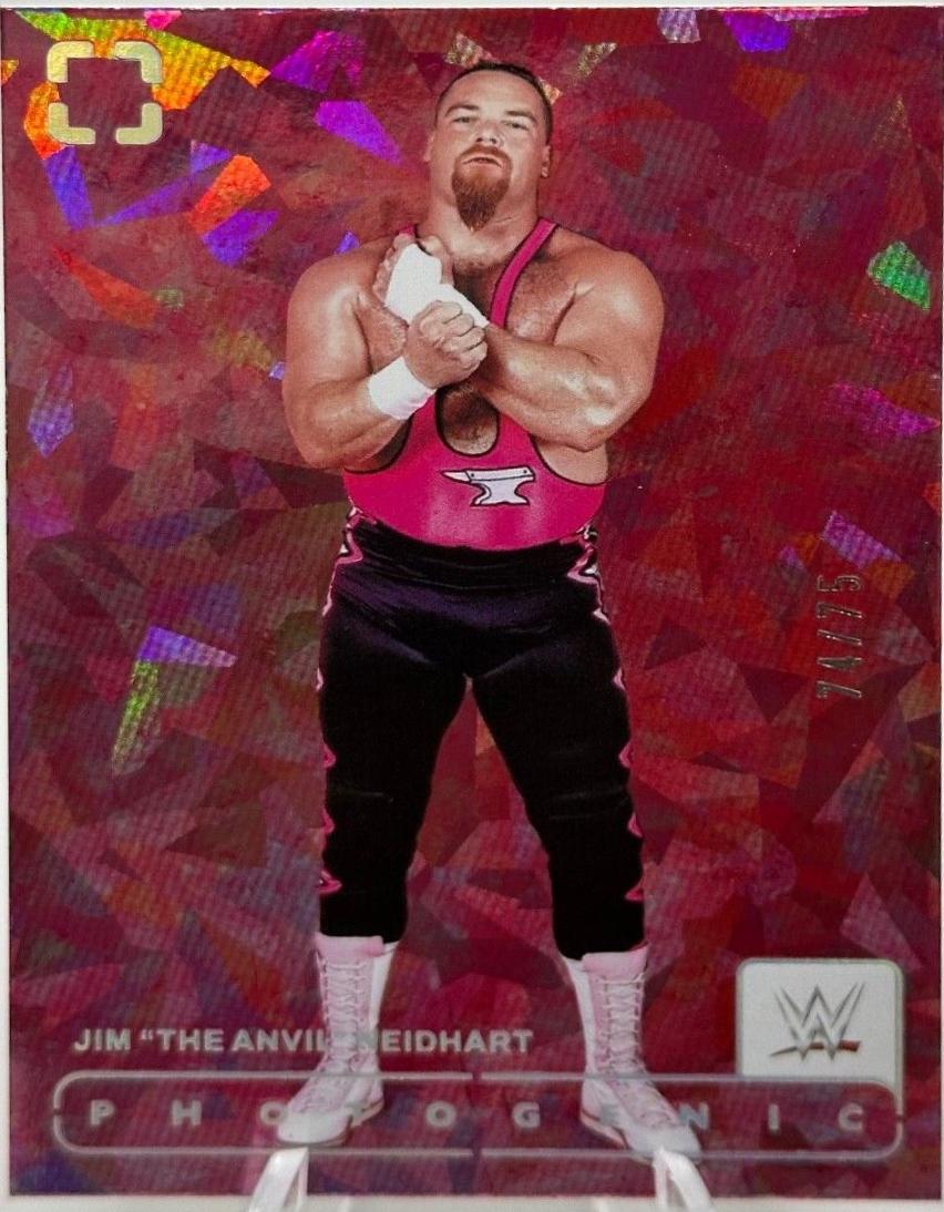 Jim The Anvil Neidhart [Diamond] #196