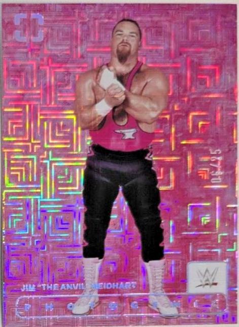 Jim The Anvil Neidhart [Maze] #196