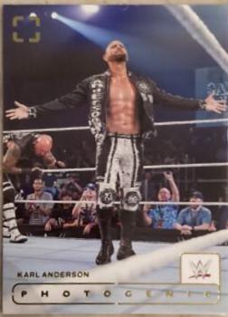 Karl Anderson #113