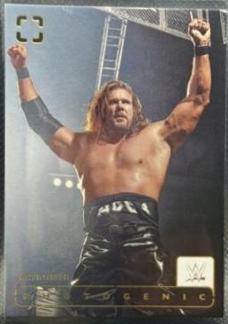 Kevin Nash #110