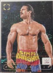 Ravishing Rick Rude [Fireworks] #183