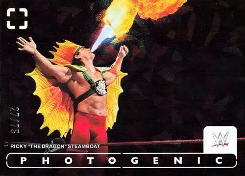 Ricky The Dragon Steamboat [Diamond] #85
