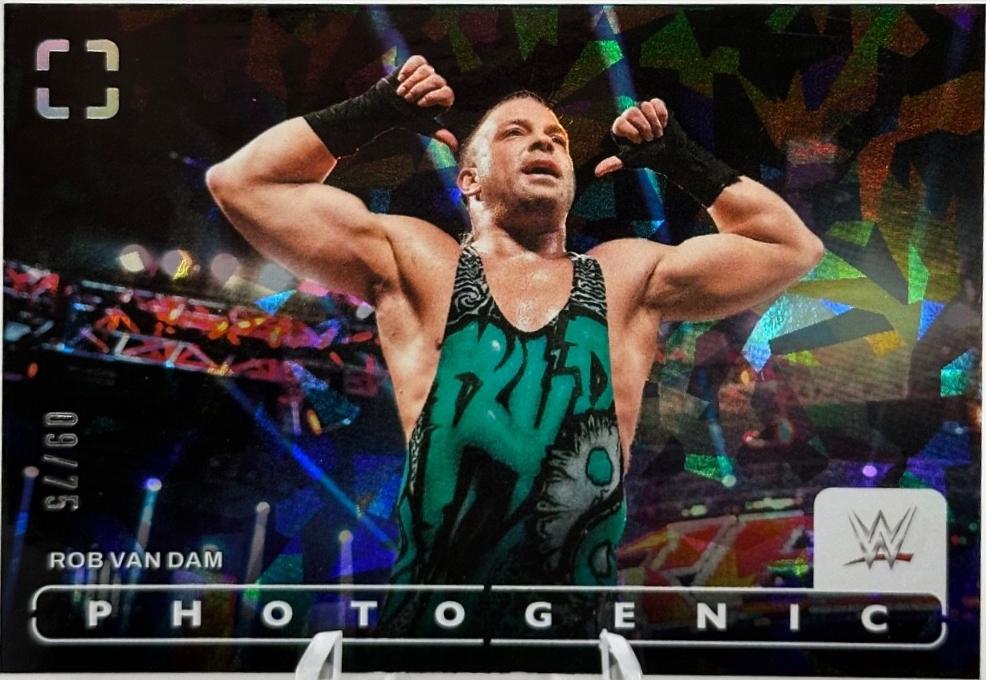 Rob Van Dam [Diamond] #22