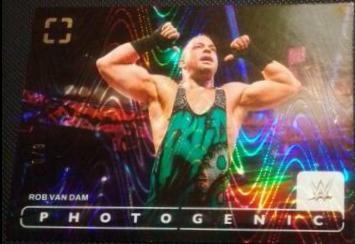 Rob Van Dam [Swirl FOTL] #22