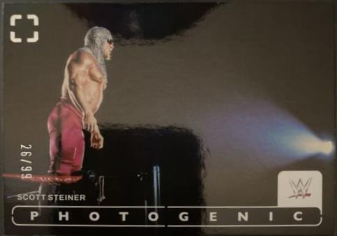 Scott Steiner [Silver] #78