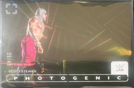 Scott Steiner [Wedges] #78