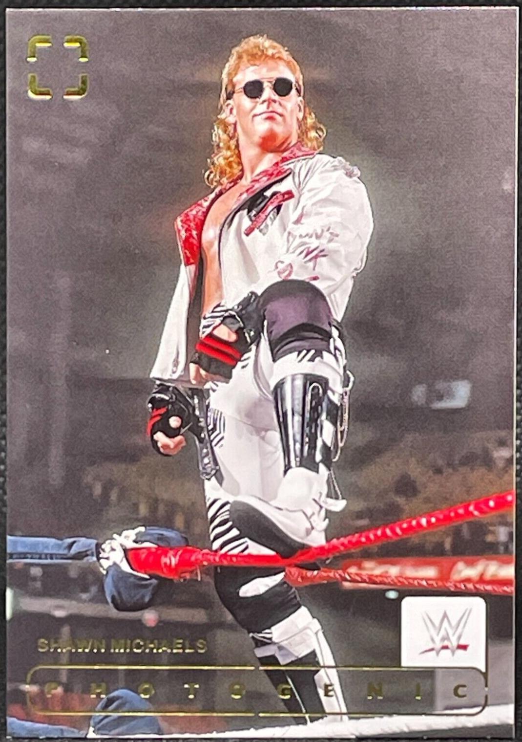 Shawn Michaels #161