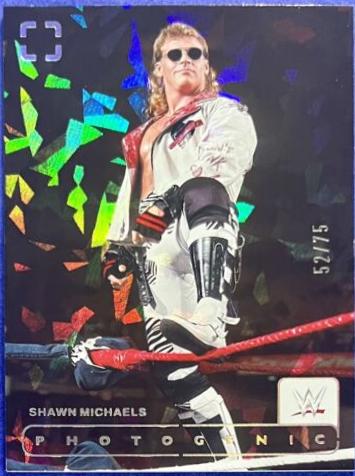 Shawn Michaels [Diamond] #161