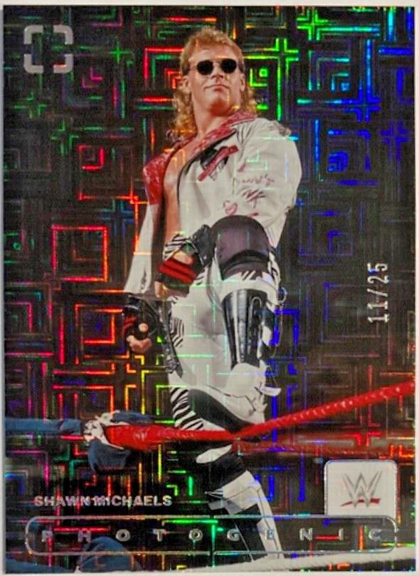 Shawn Michaels [Maze] #161