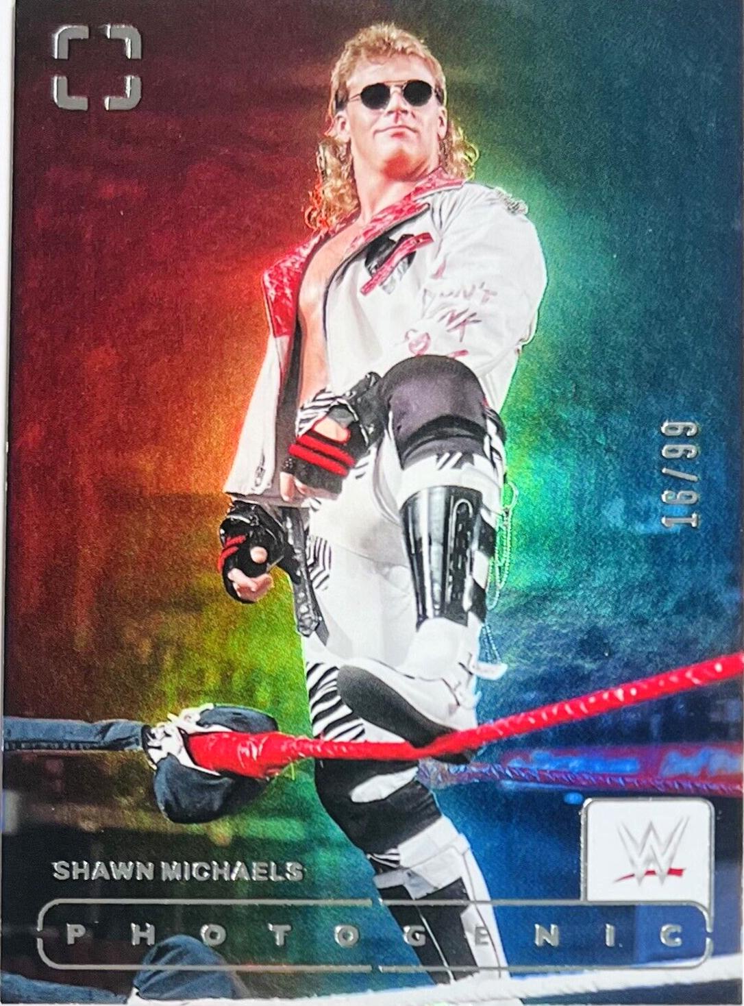 Shawn Michaels [Silver] #161