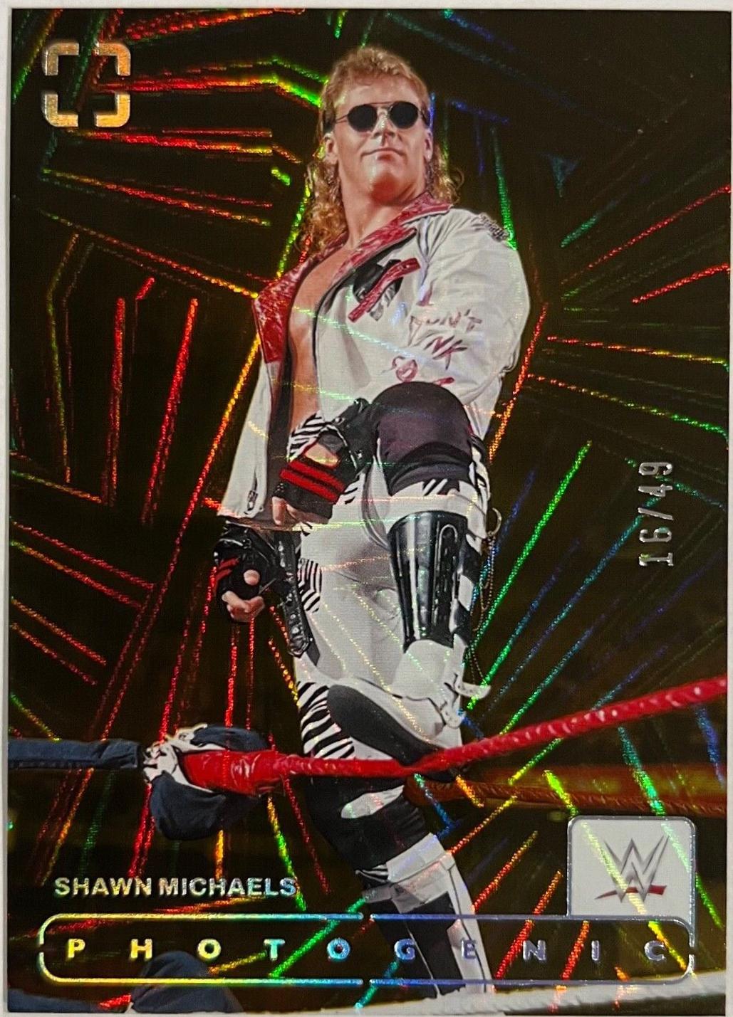 Shawn Michaels [Wedges] #161